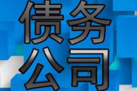 广元广元的要账公司在催收过程中的策略和技巧有哪些？